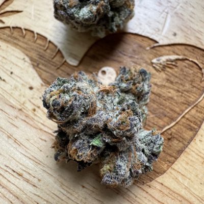 20251111-Swiss Watch-White Labs Thailand_0 20251111-Swiss Watch-White Labs Thailand_0