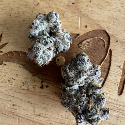 Gold Scout Gucciz Two cannabis buds on a wooden surface, with brown and green hues.