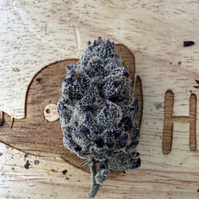 Pop rocket_0 Pop rocket_0